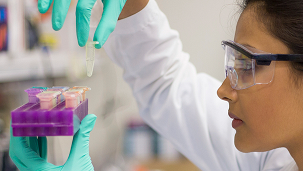 Image for Discover the Master of Biomedical Science