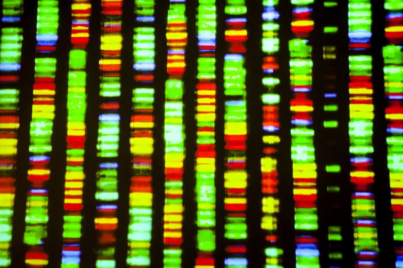 A genome sequencing panel.