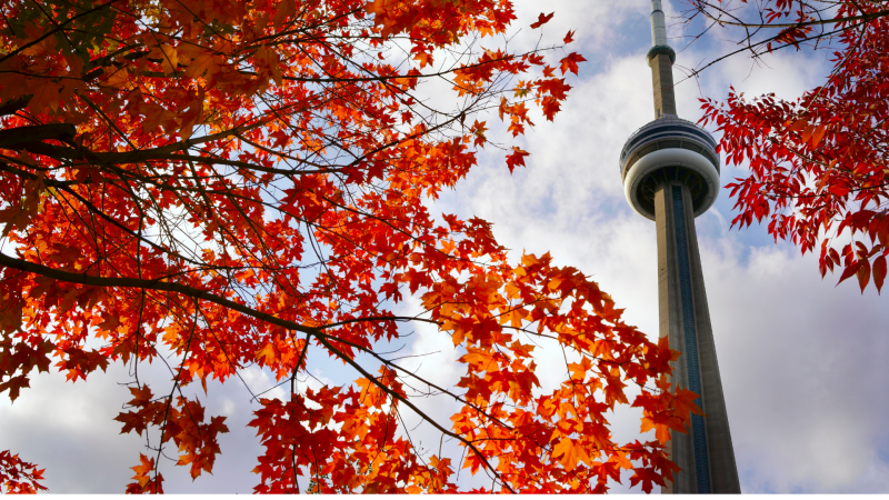 Canada Banner