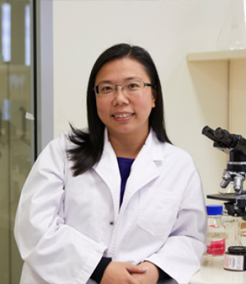 Image for Professor Xiaowei Wang headshot