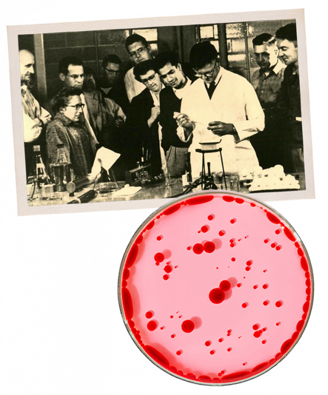 1912 WEHI sparks a new era of discovery