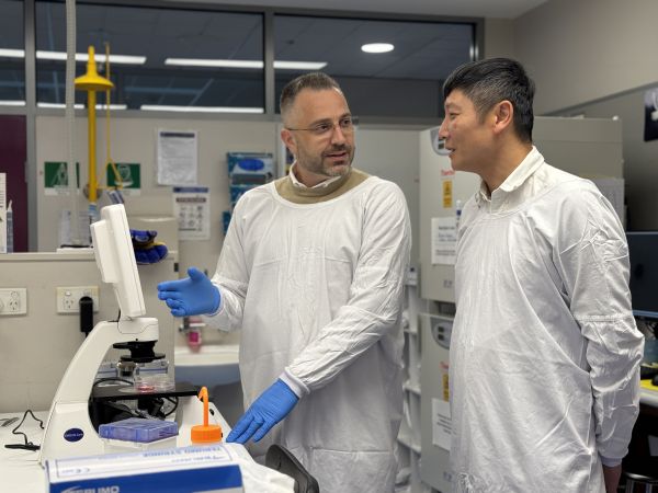 Associate Professor Antonio Celentano and Associate Professor Fabian Kong in a lab.