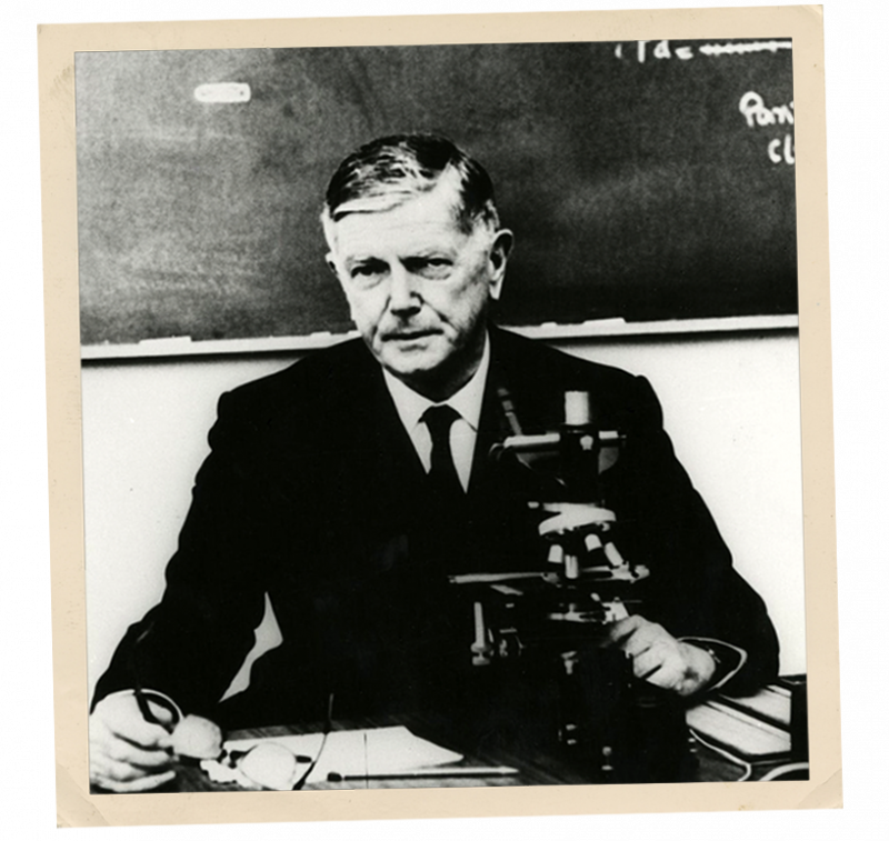 1960 Sir Frank Macfarlane Burnet receives the Nobel Prize in Physiology or Medicine.