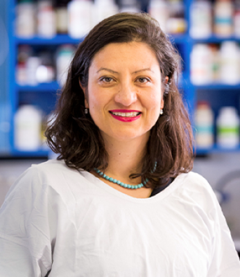 Image for Professor Elif Ekinci