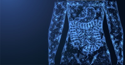 A computer animation of the human gut. 