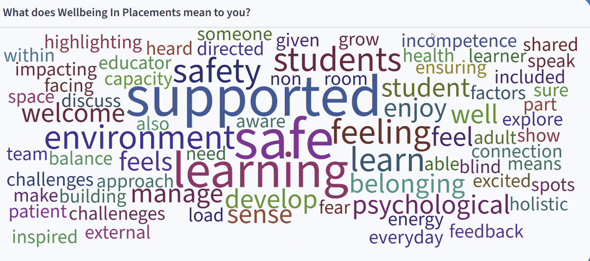 word cloud  - what does wellbeing placements mean to you